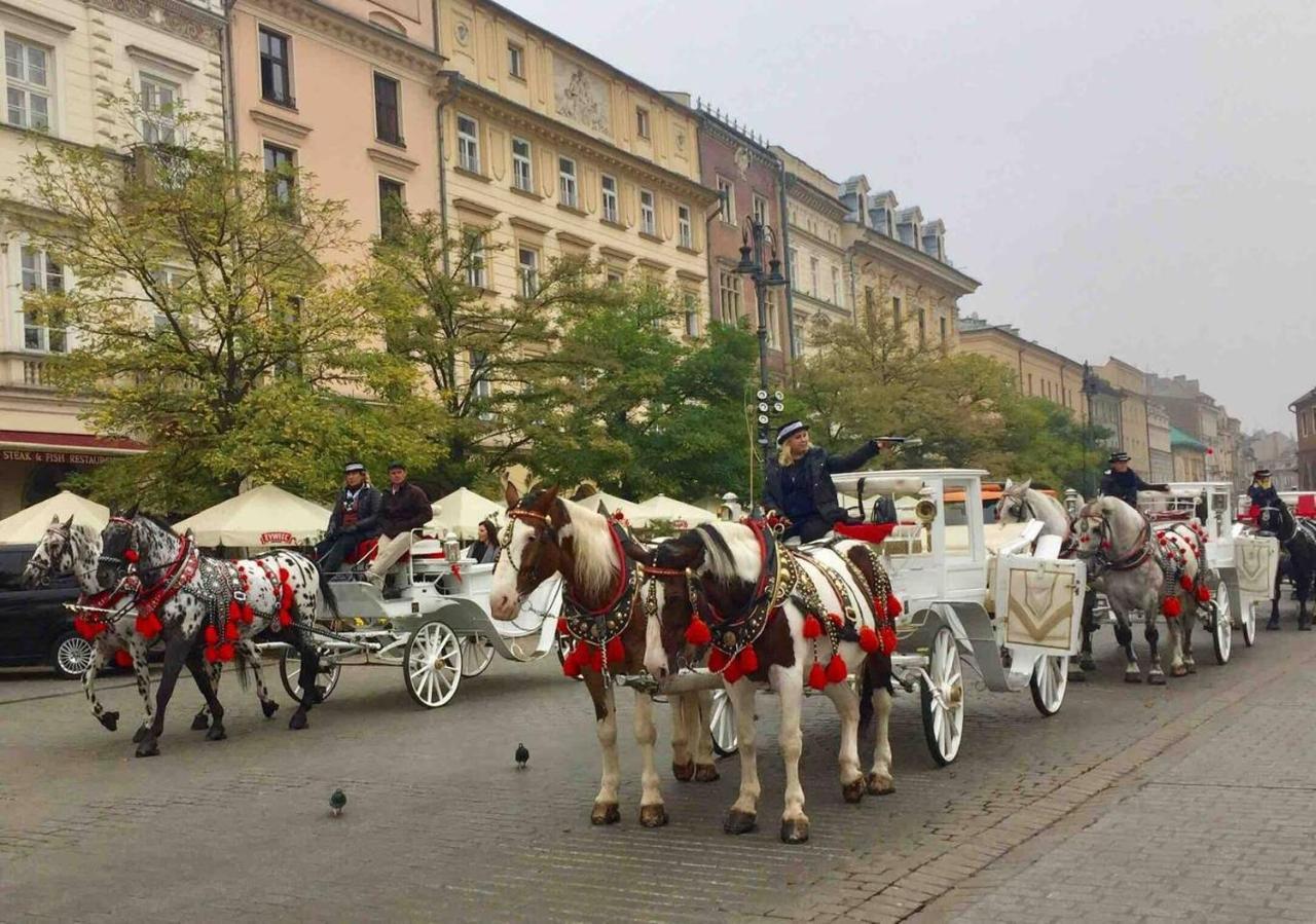 Studio Appartment In Old Town Krakow Luaran gambar
