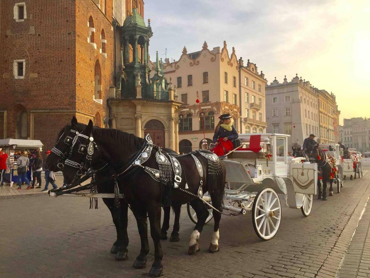 Studio Appartment In Old Town Krakow Luaran gambar